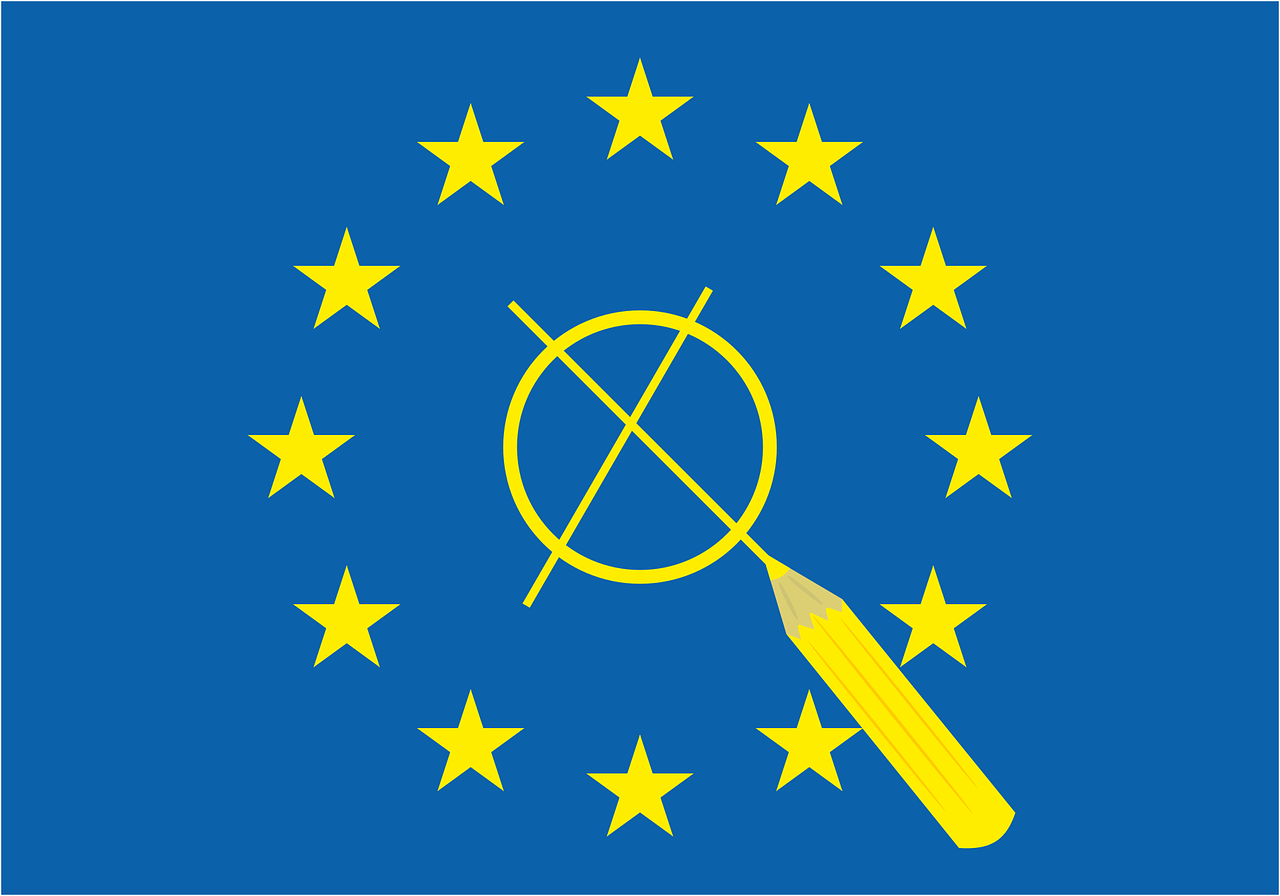 Bild zu Europawahl 2024